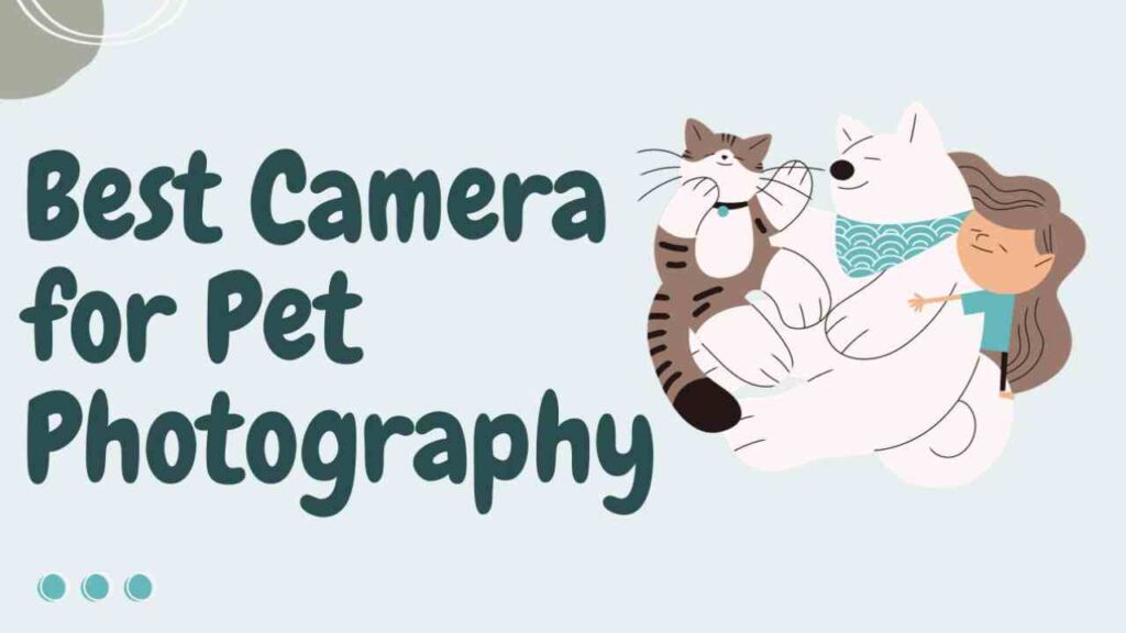 Best Camera for Pet Photography
