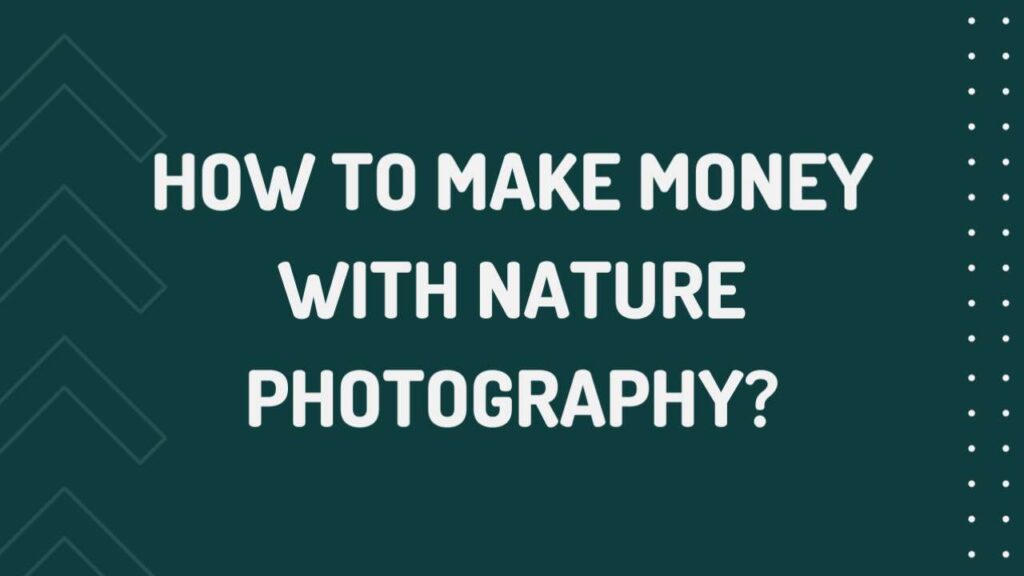 How to make money with Nature Photography